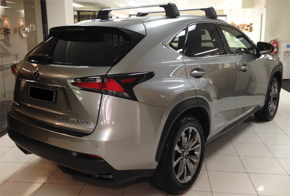 NX (up to 2021) Aero Roof Rack System – Melbourne City Lexus Shop